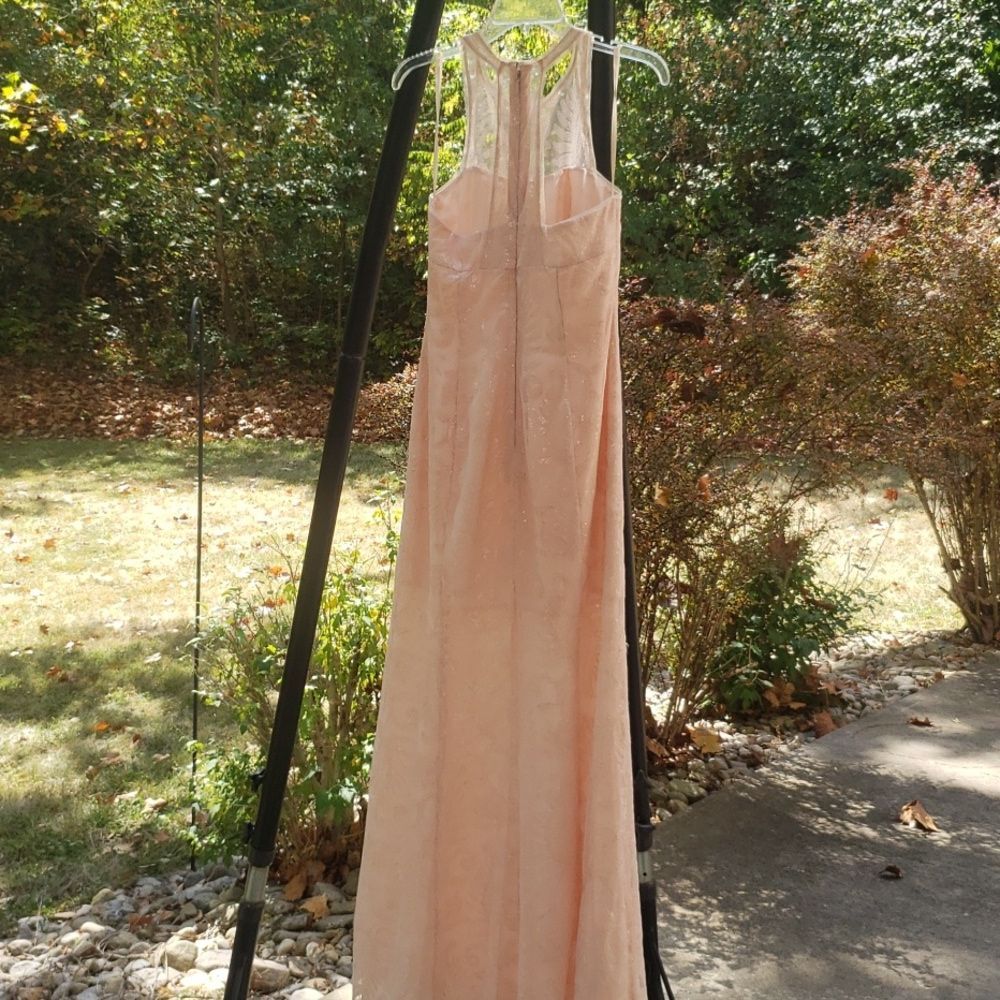 Maxi Dress Blush Pink 6 Sequins on Sheer Illusion A line Elegant Formal Gown - Picture 4 of 7